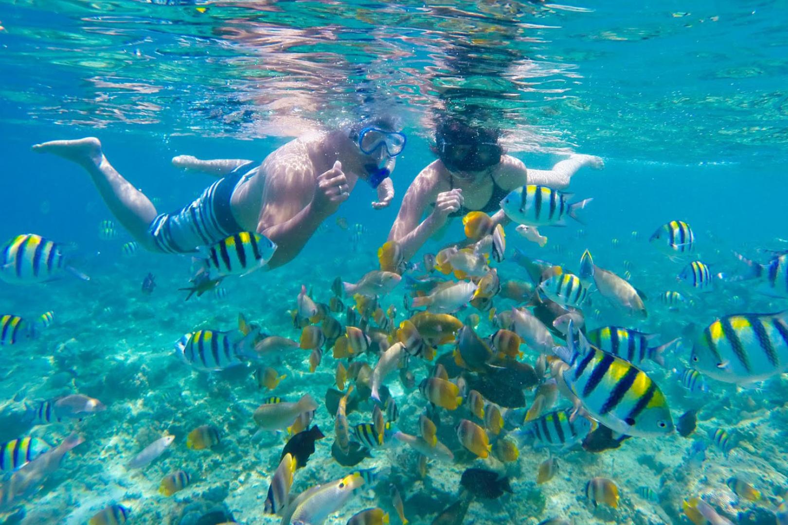 Surga snorkeling dan diving di Lombok