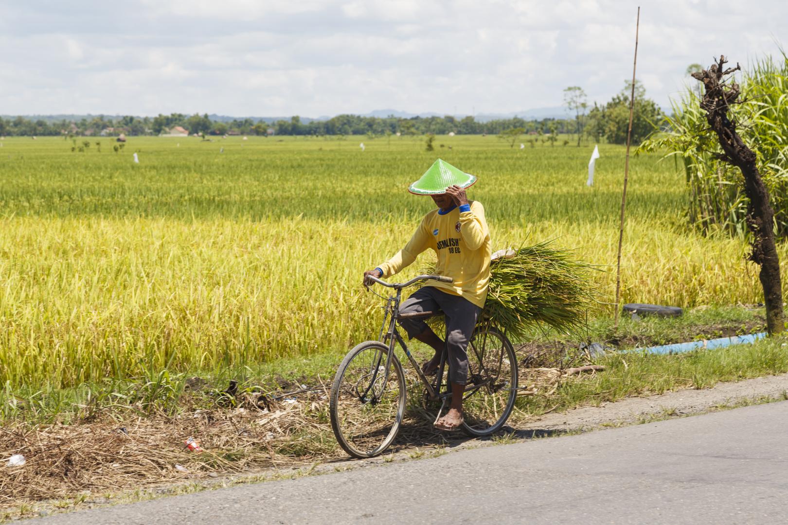 Cycling in Lombok, Indonesia