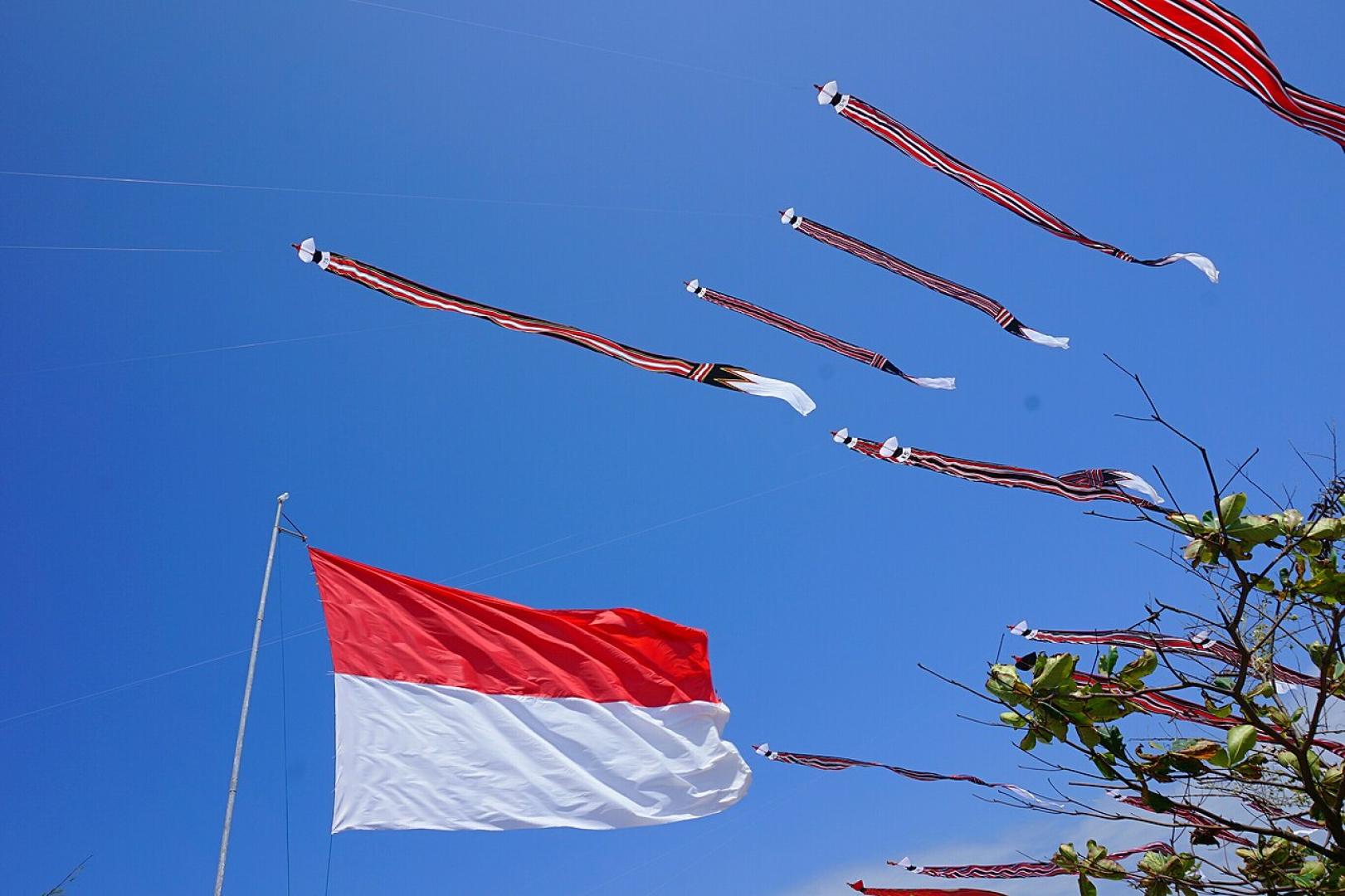 Indonesian Independence Day (Johannnindito Adisuryo)